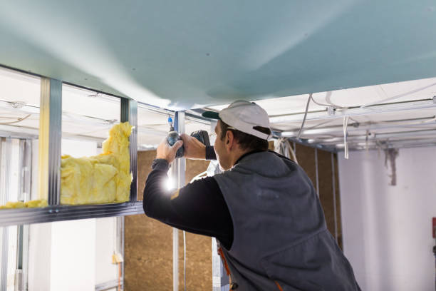 Best Insulation for Existing Homes  in Bohners Lake, WI